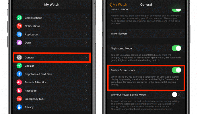 How to take Screenshot on Apple Watch